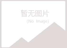 中山横栏冰夏咨询有限公司